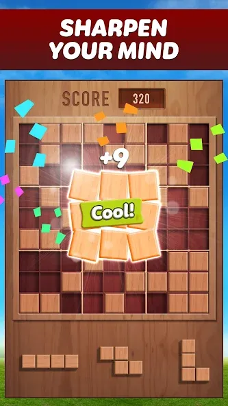 Взлом Woody 99 — Sudoku Block Puzzle (Вуди 99)  [МОД Menu] — полная версия apk на Андроид screen 1
