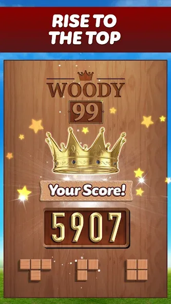 Взлом Woody 99 — Sudoku Block Puzzle (Вуди 99)  [МОД Menu] — полная версия apk на Андроид screen 5
