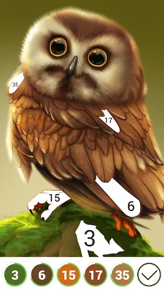 Взлом Hola Color—Coloring by Number (ола калор)  [МОД Unlocked] — полная версия apk на Андроид screen 3