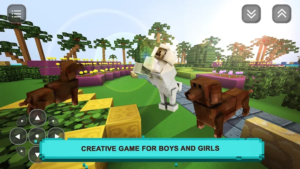 Скачать взломанную Pet Puppy Love: Girls Craft  [МОД Много монет] — полная версия apk на Андроид screen 1